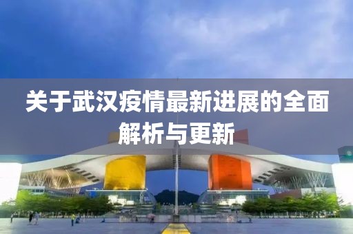 关于武汉疫情最新进展的全面解析与更新