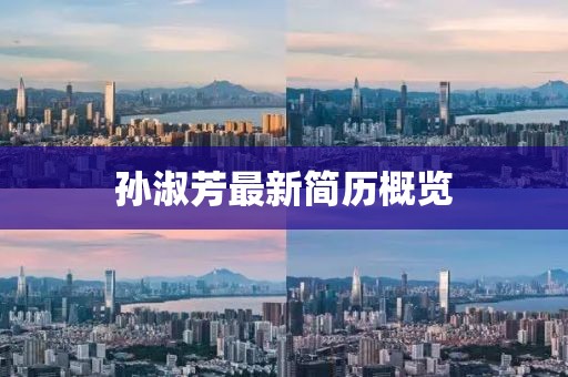 孙淑芳最新简历概览