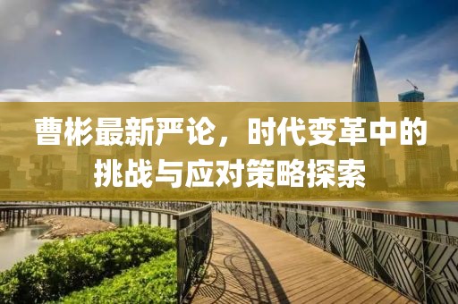 曹彬最新严论，时代变革中的挑战与应对策略探索