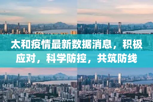 太和疫情最新数据消息，积极应对，科学防控，共筑防线