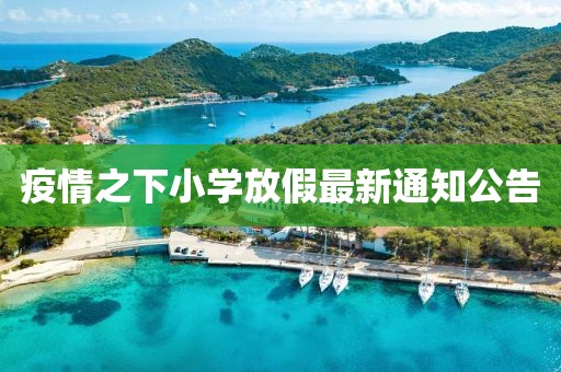 疫情之下小学放假最新通知公告