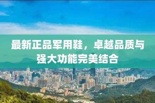 最新正品军用鞋，卓越品质与强大功能完美结合