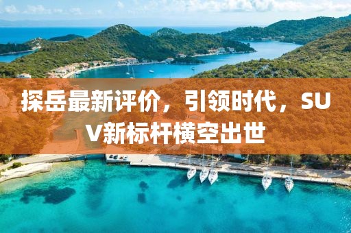 探岳最新评价，引领时代，SUV新标杆横空出世