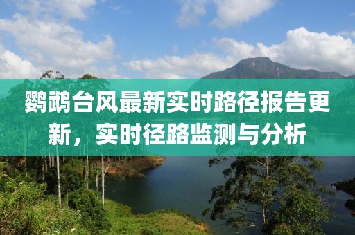鹦鹉台风最新实时路径报告更新，实时径路监测与分析