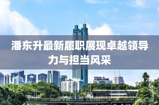 潘东升最新履职展现卓越领导力与担当风采