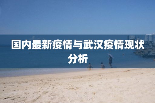 国内最新疫情与武汉疫情现状分析