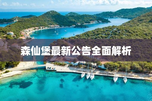 森仙堡最新公告全面解析