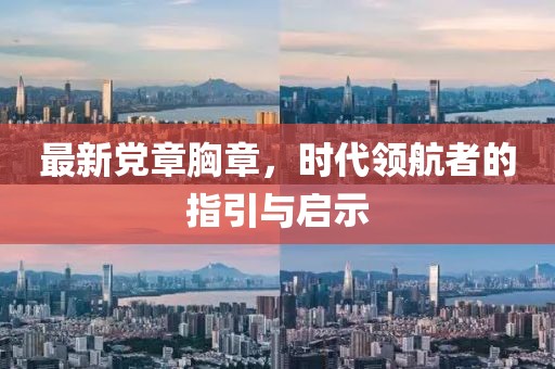 最新党章胸章，时代领航者的指引与启示