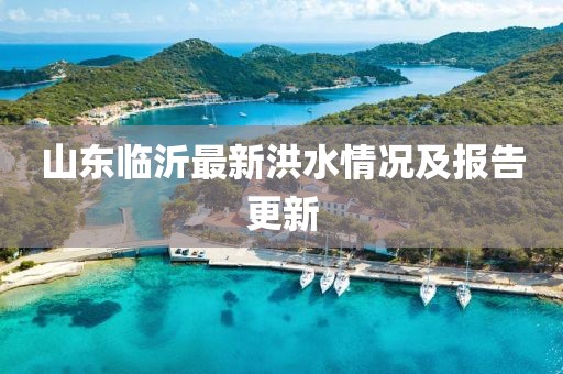 山东临沂最新洪水情况及报告更新