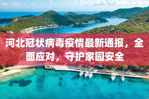 河北冠状病毒疫情最新通报，全面应对，守护家园安全
