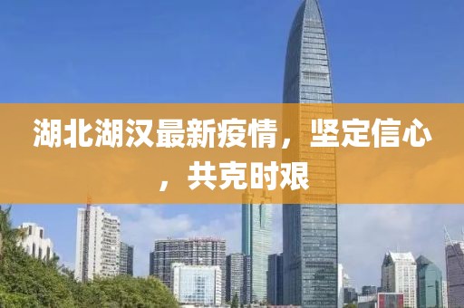 湖北湖汉最新疫情，坚定信心，共克时艰