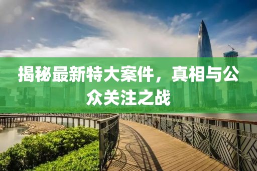 揭秘最新特大案件，真相与公众关注之战