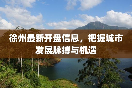 徐州最新开盘信息，把握城市发展脉搏与机遇