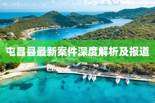 屯昌县最新案件深度解析及报道
