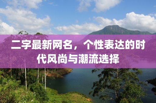 二字最新网名，个性表达的时代风尚与潮流选择