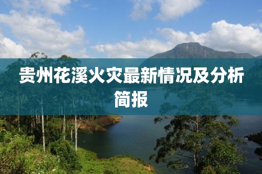 贵州花溪火灾最新情况及分析简报