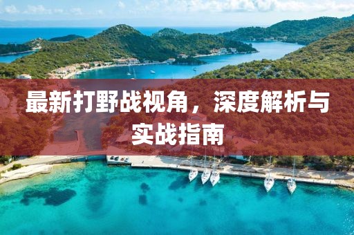 最新打野战视角，深度解析与实战指南