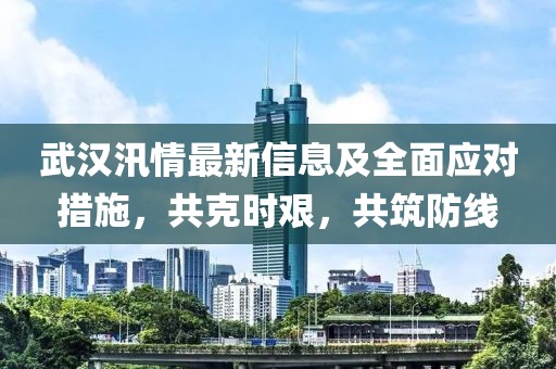 武汉汛情最新信息及全面应对措施，共克时艰，共筑防线