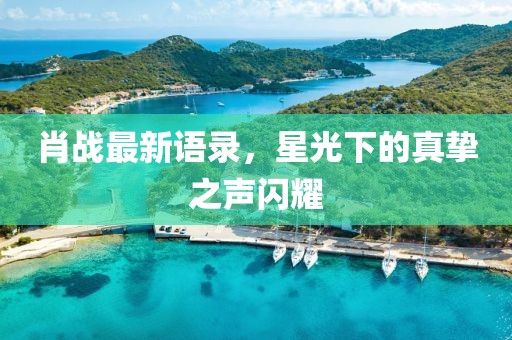 肖战最新语录，星光下的真挚之声闪耀