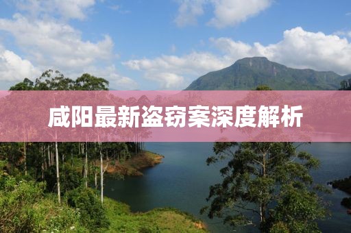 唯一的执着 第16页