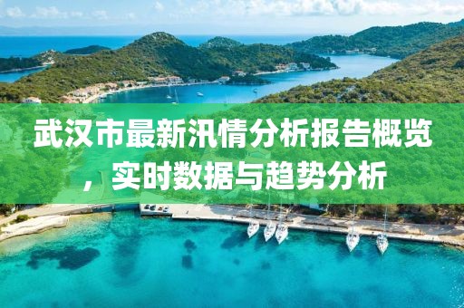 武汉市最新汛情分析报告概览，实时数据与趋势分析