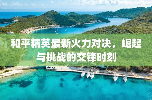 和平精英最新火力对决，崛起与挑战的交锋时刻
