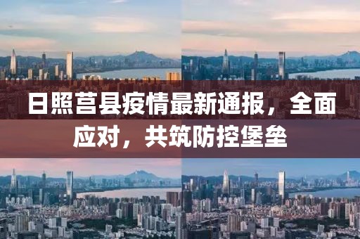 日照莒县疫情最新通报，全面应对，共筑防控堡垒