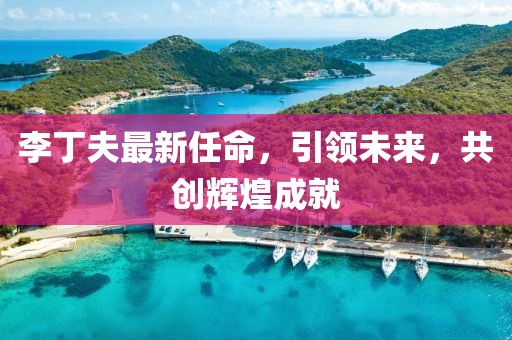 李丁夫最新任命，引领未来，共创辉煌成就