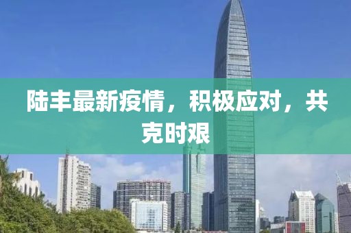 陆丰最新疫情，积极应对，共克时艰