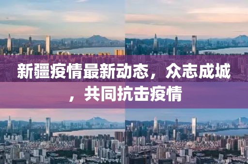 新疆疫情最新动态，众志成城，共同抗击疫情
