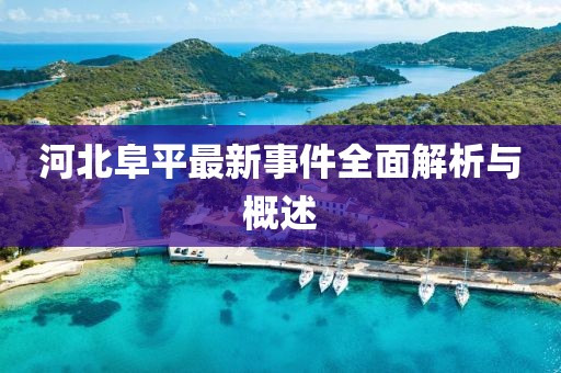河北阜平最新事件全面解析与概述