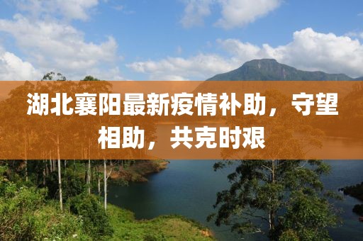 湖北襄阳最新疫情补助，守望相助，共克时艰