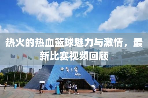 热火的热血篮球魅力与激情，最新比赛视频回顾