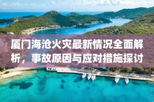 厦门海沧火灾最新情况全面解析，事故原因与应对措施探讨