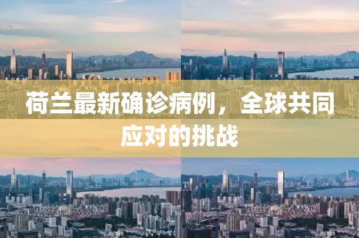 荷兰最新确诊病例，全球共同应对的挑战