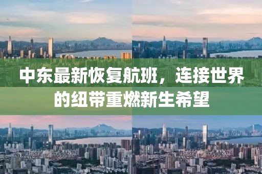 中东最新恢复航班，连接世界的纽带重燃新生希望