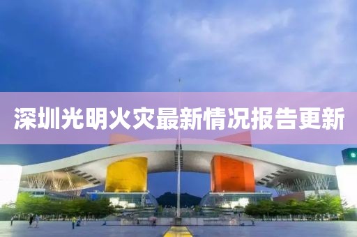 风筝与风 第16页