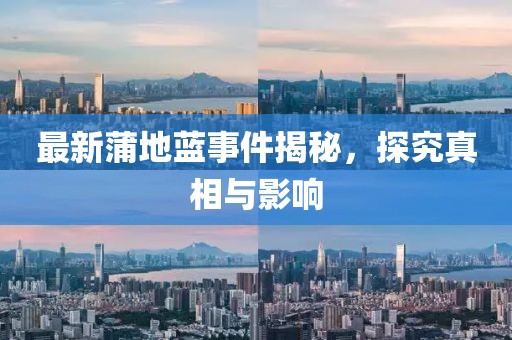 最新蒲地蓝事件揭秘，探究真相与影响