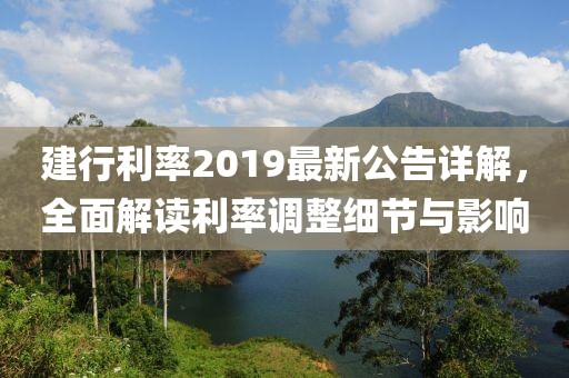 建行利率2019最新公告详解，全面解读利率调整细节与影响