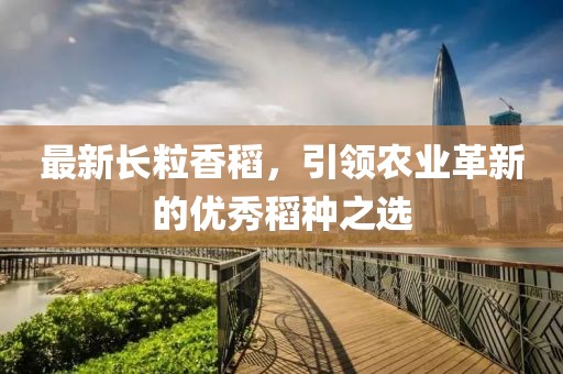 最新长粒香稻，引领农业革新的优秀稻种之选