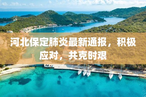 河北保定肺炎最新通报，积极应对，共克时艰