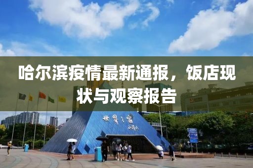 哈尔滨疫情最新通报，饭店现状与观察报告
