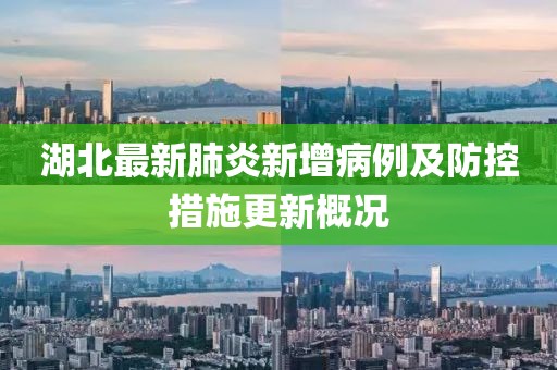 湖北最新肺炎新增病例及防控措施更新概况