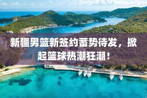 新疆男篮新签约蓄势待发，掀起篮球热潮狂潮！