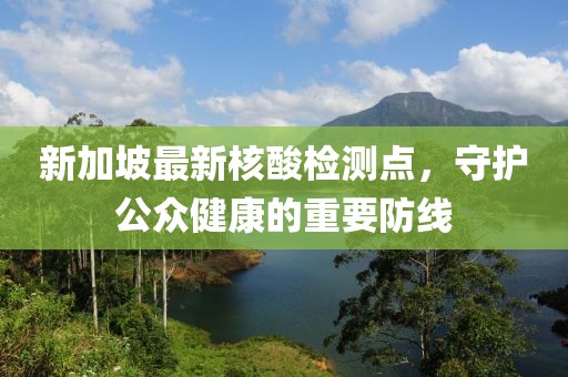 新加坡最新核酸检测点，守护公众健康的重要防线