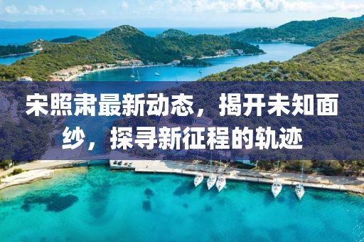 宋照肃最新动态，揭开未知面纱，探寻新征程的轨迹