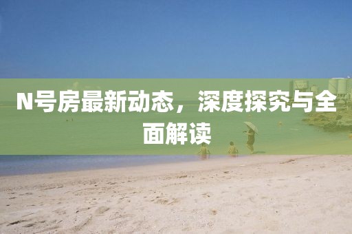 N号房最新动态，深度探究与全面解读