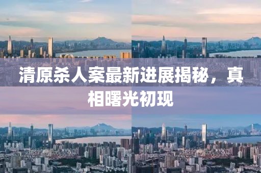 清原杀人案最新进展揭秘，真相曙光初现