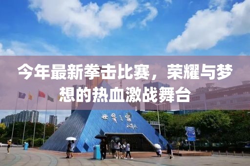 今年最新拳击比赛，荣耀与梦想的热血激战舞台