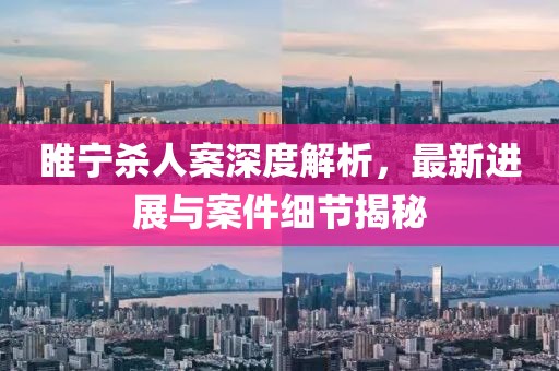 睢宁杀人案深度解析，最新进展与案件细节揭秘